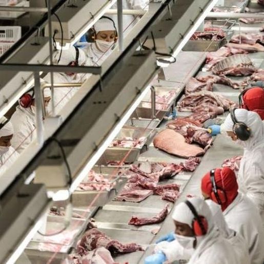 China suspende importação de carne suína de frigorífico de Santa Catarina