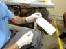 Detentos do Presídio de Joaçaba produzem máscaras para combate ao coronavírus