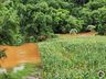 Fotos: Cheia dos rios em Itapiranga causa alagamentos
