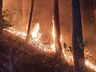 Vídeo: Incêndio florestal mobiliza bombeiros por sete horas no dia de natal 