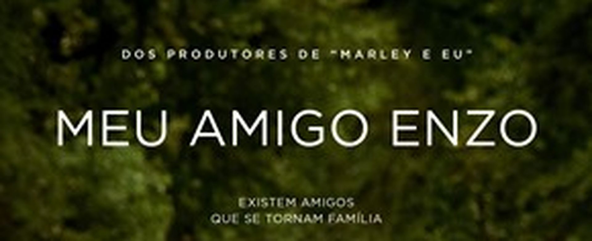 Meu Amigo Enzo - 2D