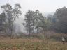 Bombeiros passam sete horas em combate a incêndio em vegetação