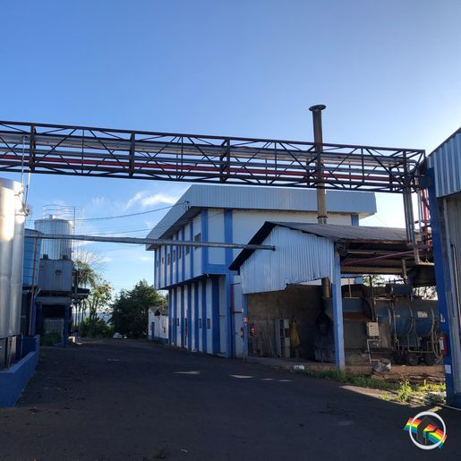 Laticínios Santa Catarina inicia produção de queijo Mussarela neste mês