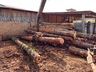 Polícia Militar Ambiental apreende madeira de espécie ameaçada de extinção