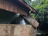 Ventania derruba árvores e danifica casa no interior de Iporã do Oeste e São João do Oeste