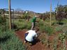 Casa Familiar Rural organiza projeto de doação de alimentos à comunidade