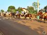 Cavalgada com a chama crioula marca o Dia do Gaúcho, em Iporã do Oeste