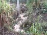 Chuvas causam transtornos em municípios do Extremo Oeste