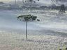 Serra de SC amanhece com geada e termômetros abaixo de 5°C