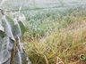 Município registra dia mais frio do ano