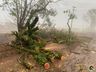 FOTOS: Temporal causa diversos prejuízos e transtornos em Itapiranga