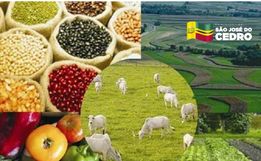 Conselho de Agricultura realiza reunião para elaborar plano de trabalhos para 2022