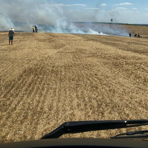 Incêndio em lavoura de trigo atinge seis mil metros quadrados