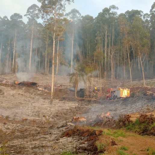 Incêndio atinge vegetação e estoque de lenha no interior de Itapiranga