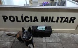 Mulher é presa por tráfico de drogas em São Miguel do Oeste