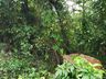 Vídeo: Desmoronamento de pedras é registrado na SC 386 em Mondaí