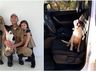 Cão abandonado invade viatura da PMRv e é adotado por policial