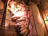 Porca dá à luz a 34 leitões em um único parto em Santa Catarina