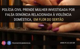PC prende mulher investigada por falsa denúncia de violência doméstica 