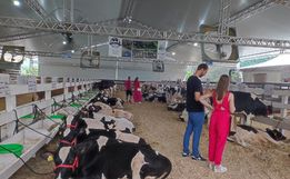 Itapiranga possui atenção especial com a exposição de animais durante a Efrait