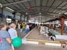 5ª Expo São João: Bom público prestigia a feira no penúltimo dia do evento