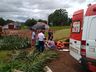 Homem fica ferido ao ser atingido por árvore 