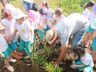 Alunos fazem visita ao Lago Municipal e participam de plantio de árvores em Cedro