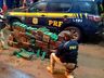 PRF prende traficantes com mais de meia tonelada de maconha em carro roubado