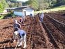 Faltam profissionais técnicos para atuar no mercado de trabalho agrícola