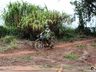 Confira imagens da 4ª Meia Trilha Kabo Arrochado em SMO