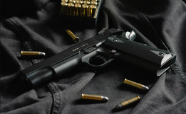 Registro de novas armas para defesa pessoal cai em 2023, e chega ao menor número desde 2004