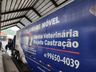 ONG Patinhas do Bem realiza campanha de castração com mais de 160 animais
