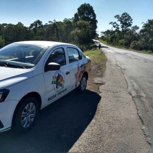 Motorista da Saúde capota veículo ao desviar de animais na BR 163