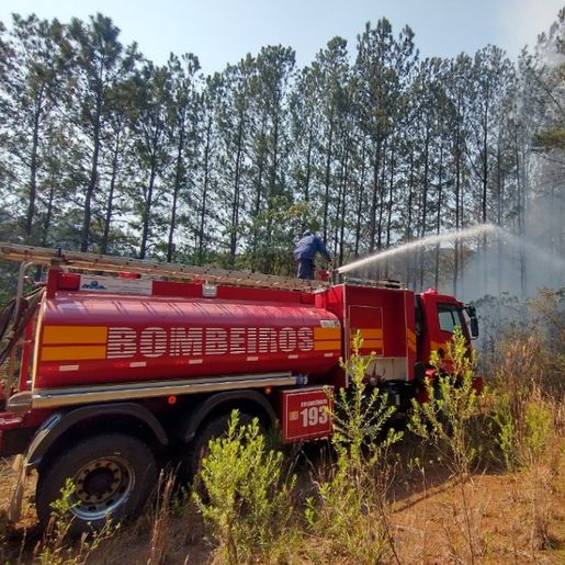 Incêndio de grandes proporções consome dez hectares de mata