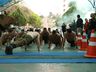 Corrida do Soldado é realizada em São Miguel do Oeste; fotos
