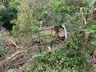 Carro sai da pista cai de ribanceira e fica preso em árvores na BR-282 em Iraceminha