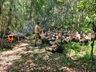 ESPECIALIZAÇÃO: Policiais militares concluem curso de Fronteiras em Chapecó