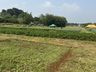 Cedup Campo Erê realiza tradicional Dia de Campo 