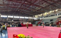 Festival Fronteira Oeste de Danças Gaúchas celebra cultura em Itapiranga
