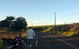 Cachorro atravessa pista e causa queda de motociclista na SC 496