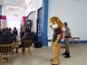 Mais de 100 alunos participam da formatura PROERD em Iporã do Oeste