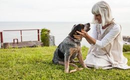  Veja como calcular a verdadeira idade do seu cachorro
