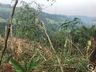 Ventos fortes causam grande destruição no interior de Iporã do Oeste