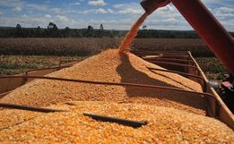 Agricultores tem boa expectativa de produtividade em lavouras