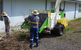 Trabalho de trituração de galhos já beneficiou quase 20 agricultores em SMOeste