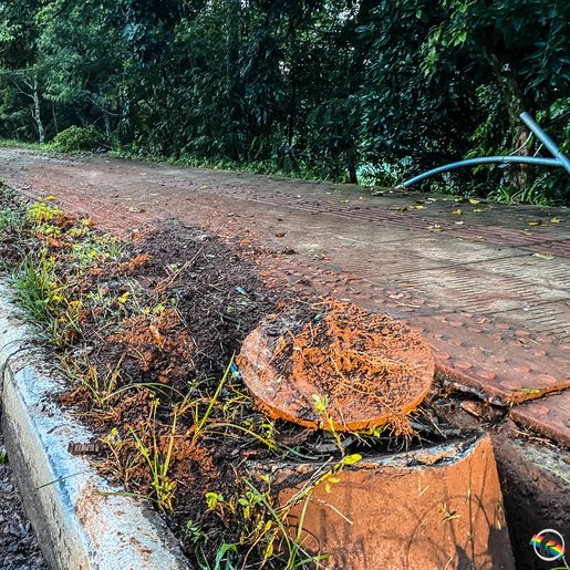 VÍDEO: Condutor perde controle do veículo, sai da pista e cai em barranco em SMO