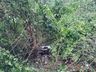 Colisão frontal entre carro e carreta deixa homem ferido na BR 163, em Guaraciaba