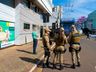 Carreta derruba poste de energia elétrica e interrompe fornecimento em parte de SMOeste 
