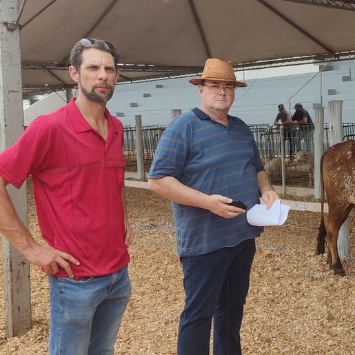 Primeiros animais da Expo Guarujá já desembarcaram nos espaços