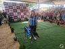 3º FAICÃO é sucesso em participações e presença de público na FAIC 2023